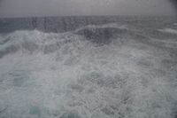
DSC00015